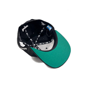 Paper Plane - Queens Crown Snapback Hat - Black - Clique Apparel